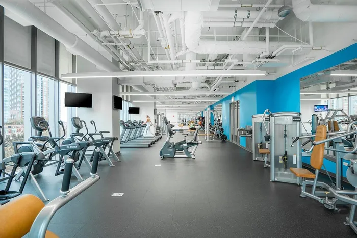 Modern gym with cardio machines, weight equipment, and large windows; blue accent walls and bright lighting create an open, airy space.