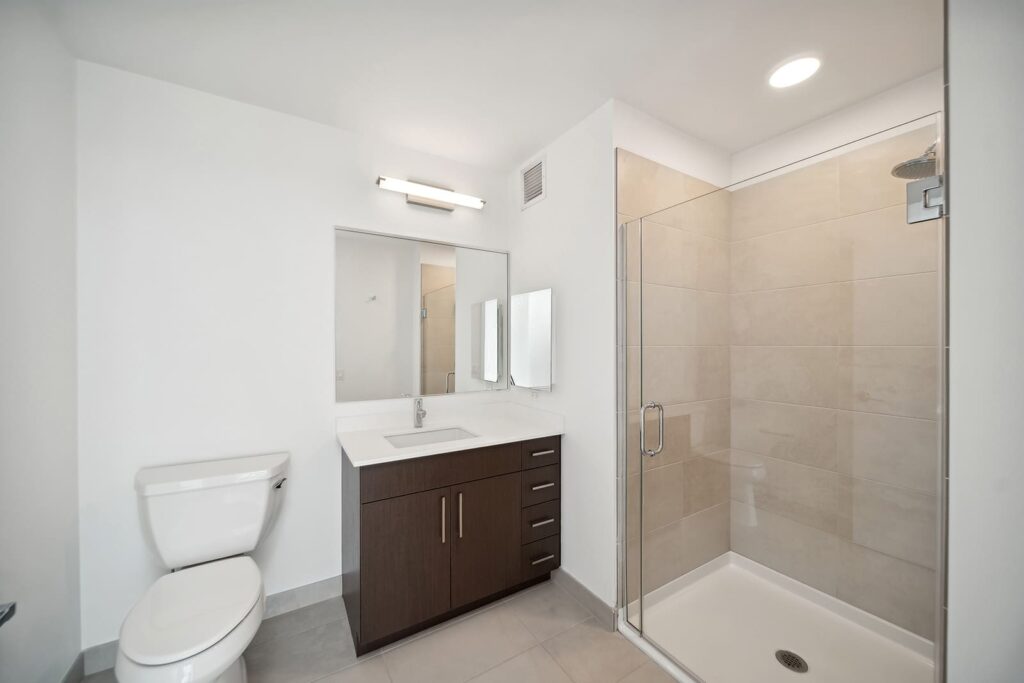Modern bathroom with a glass-enclosed shower, a white toilet, and a dark wood vanity with a rectangular mirror and overhead light.