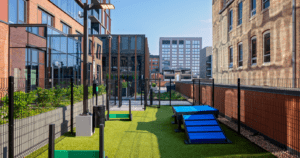 Pet Friendly Apartments for Rent in the West Loop Pet Friendly