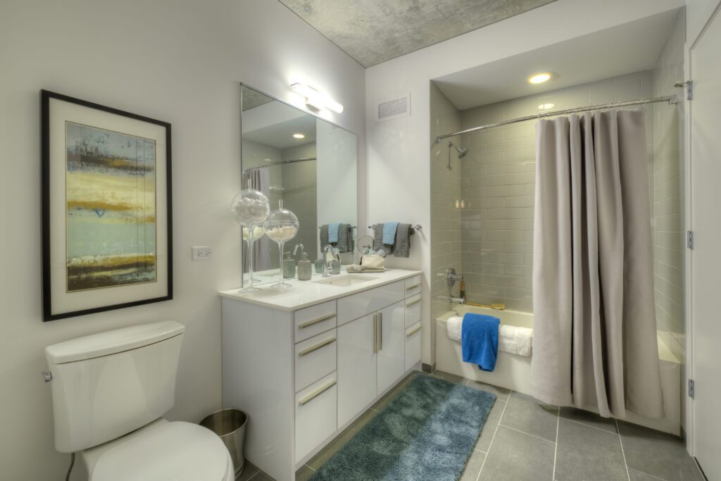 Modern bathroom with a white vanity, double sinks, and a large mirror. A toilet is on the left, and a bathtub with a gray shower curtain is on the right. A framed artwork hangs on the wall.