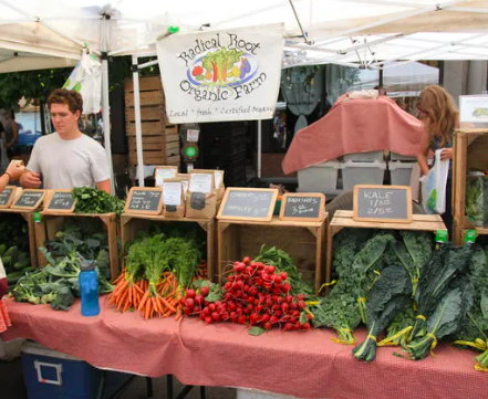 A farmer's market stall displays various organic vegetables, including carrots, radishes, kale, and cucumbers, under a white canopy. Two vendors stand behind, engaging with customers.
