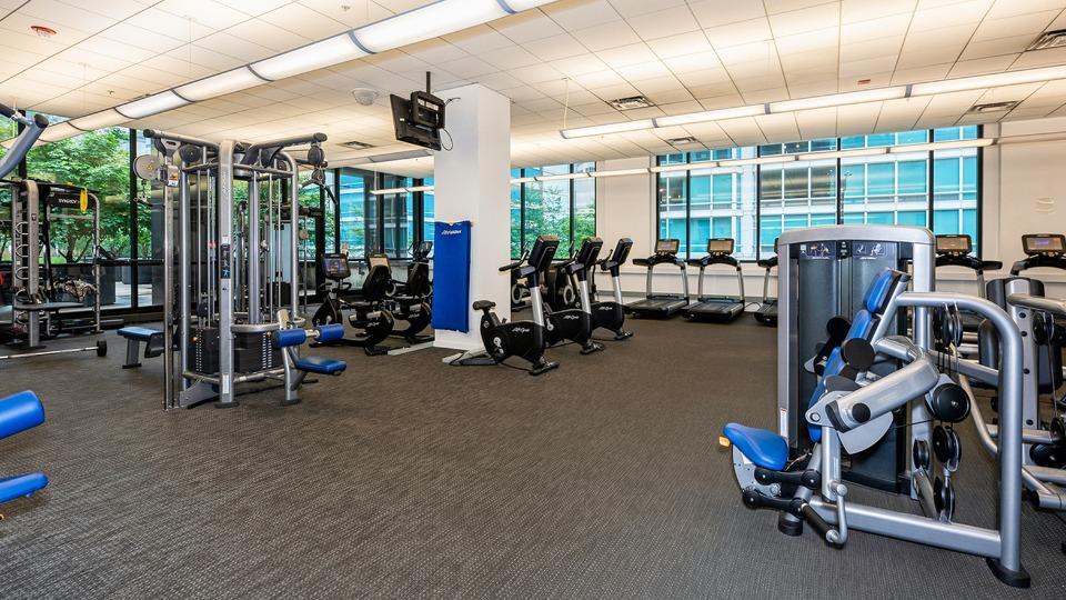 Modern gym interior with various exercise machines, including treadmills, elliptical trainers, and strength equipment. Large windows allow natural light to illuminate the space.