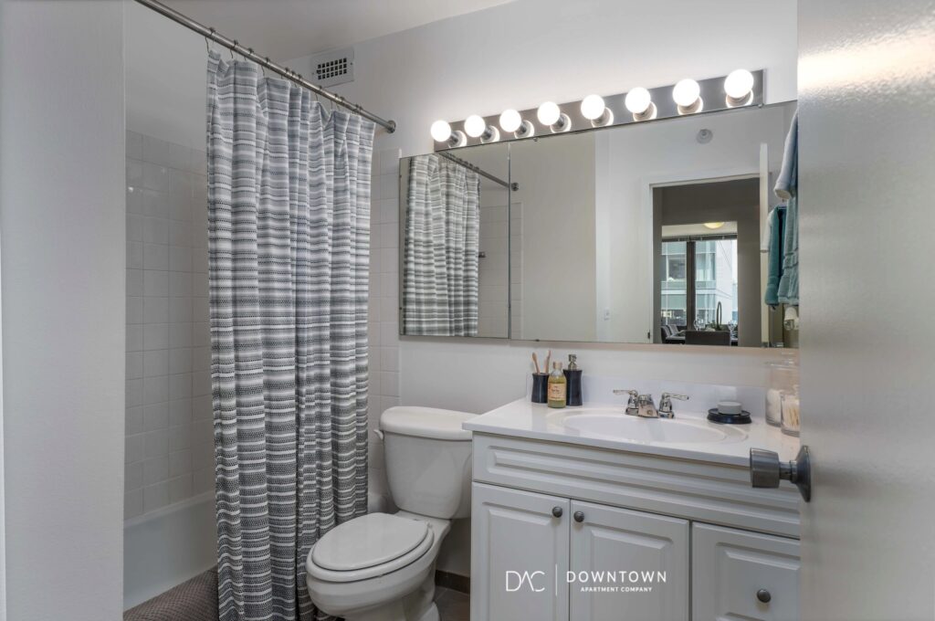 Looking for downtown Chicago apartments for rent near the Streeterville?