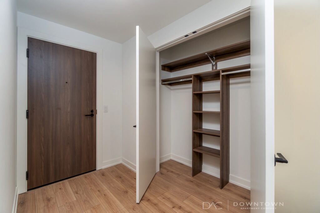 Open closet with shelving and hanging space beside a closed wooden door. Light wood flooring and plain walls in a minimalist room.