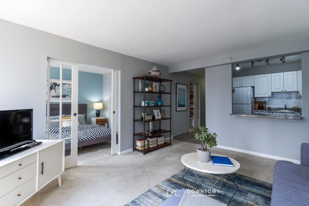 Looking for downtown Chicago apartments for rent near the Streeterville?