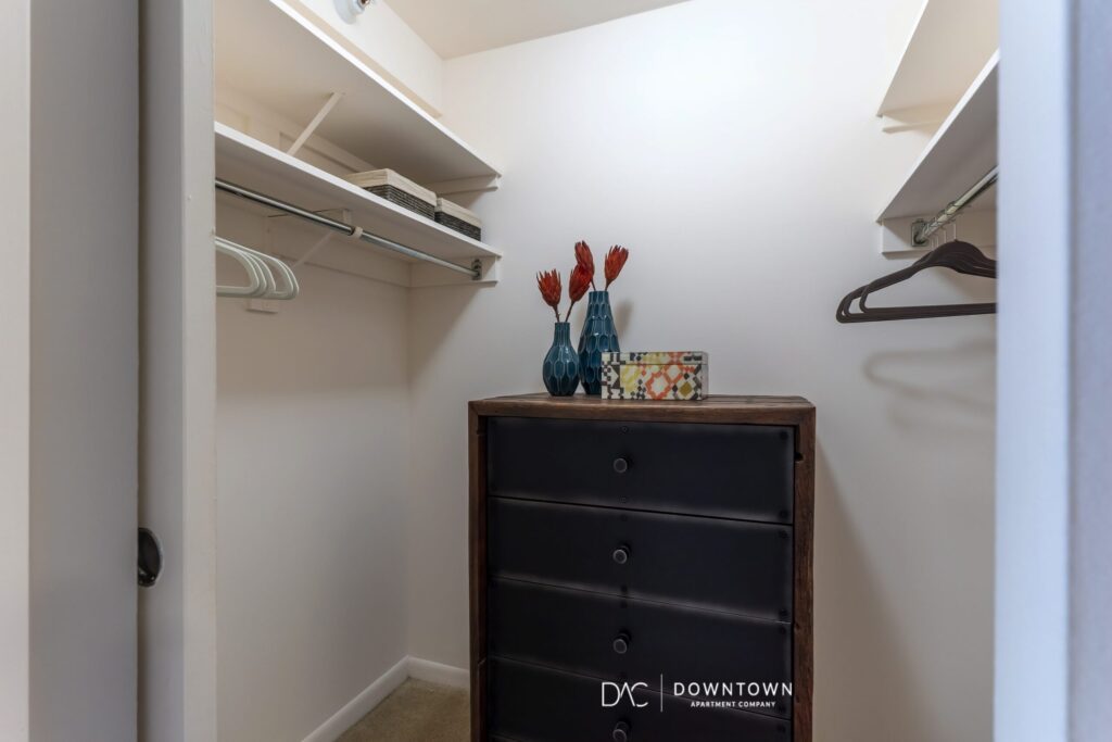Looking for downtown Chicago apartments for rent near the Streeterville?