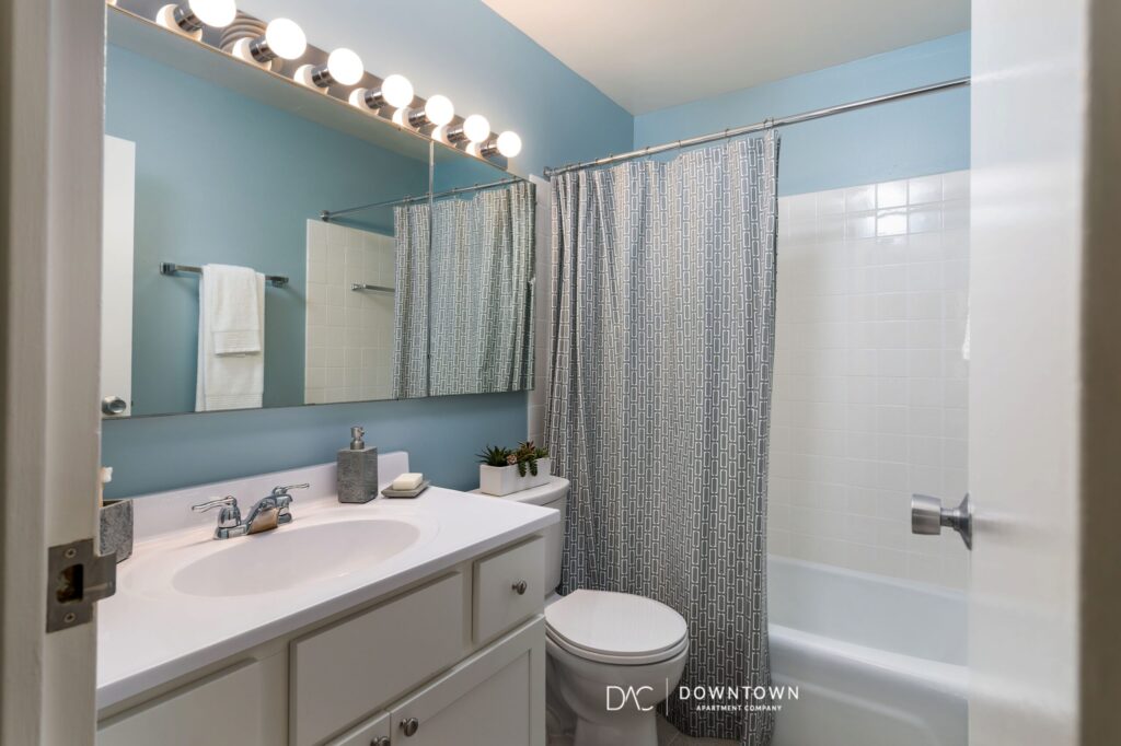 Looking for downtown Chicago apartments for rent near the Streeterville?