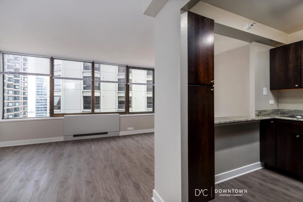 Looking for downtown Chicago apartments for rent near the Streeterville?