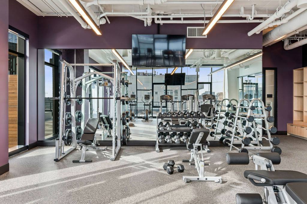 Modern gym with purple walls, featuring various weightlifting equipment, dumbbells, benches, and cardio machines. Large mirror and TV are mounted on the wall. Natural light streams in.