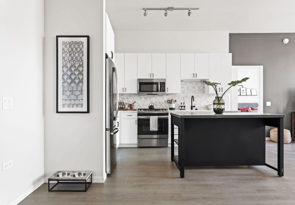 Modern kitchen with stainless steel appliances, white cabinets, black island, and a plant. Minimalist decor with wall art and a pet feeding station. Light wood flooring and bright lighting.