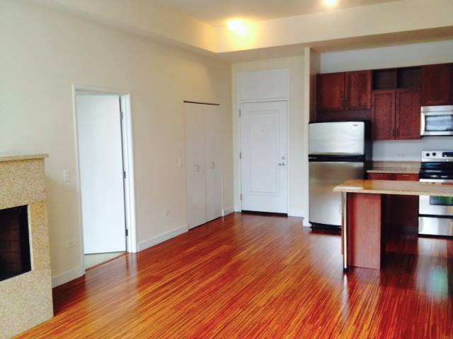 Open-concept kitchen and living area with wood floors, stainless steel appliances, white walls, and a closed door on the left. A fireplace is visible in the foreground.