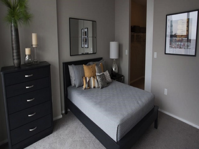 Modern bedroom with a dark bed frame, gray bedding, assorted pillows, a black dresser with decor, a lamp, and wall art. Neutral walls and carpeted floor.