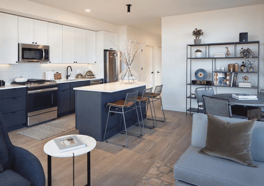 Now renting near Lincoln Park luxury rentals in downtown Chicago
