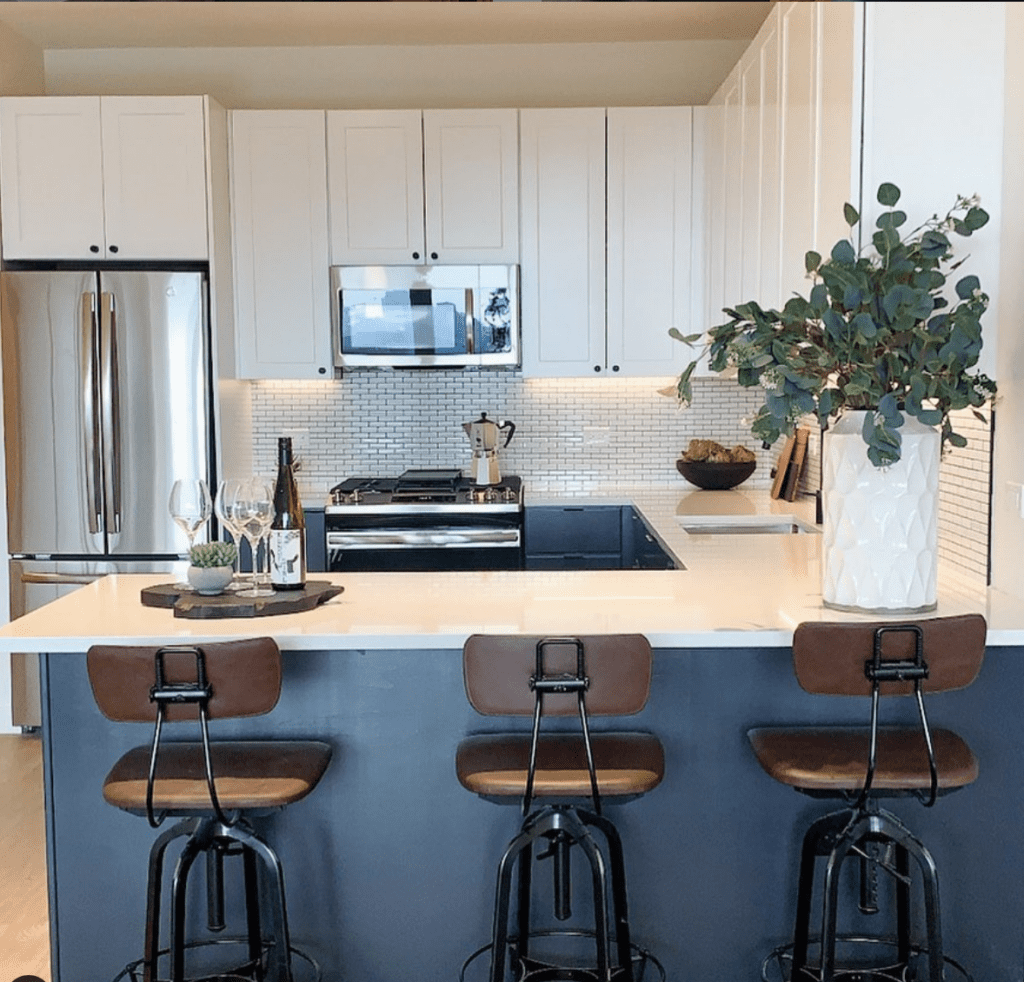 Now renting near Lincoln Park luxury rentals in downtown Chicago
