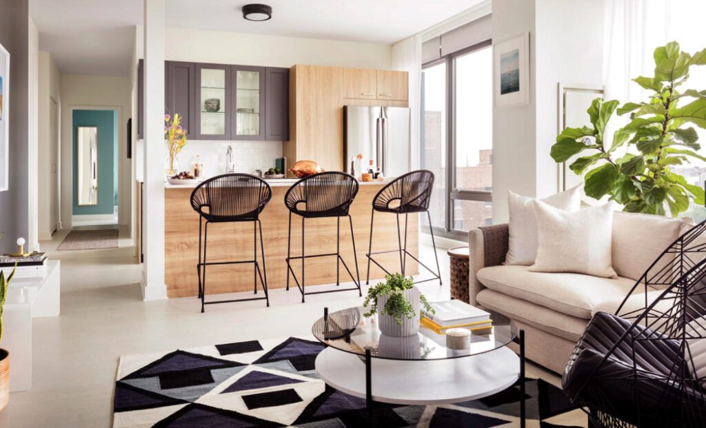 Modern open-concept living area with a kitchen island, bar stools, geometric rug, sofa, large plant, and bright window lighting.