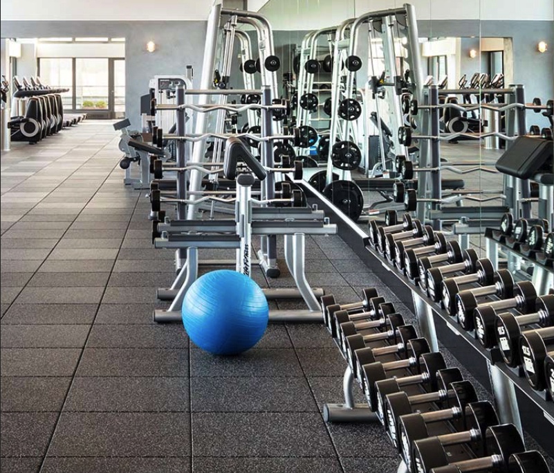 A gym with treadmills, weight machines, dumbbells, and a blue exercise ball on the floor.