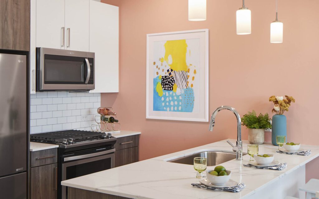 Now Renting, Luxury Convertible Apartment in Chicago's South Loop