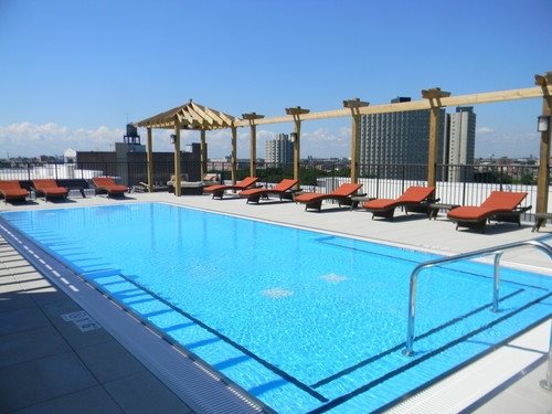 Rooftop swimming pool with clear blue water, surrounded by red lounge chairs under a wooden pergola. City skyline visible in the background under a clear blue sky.