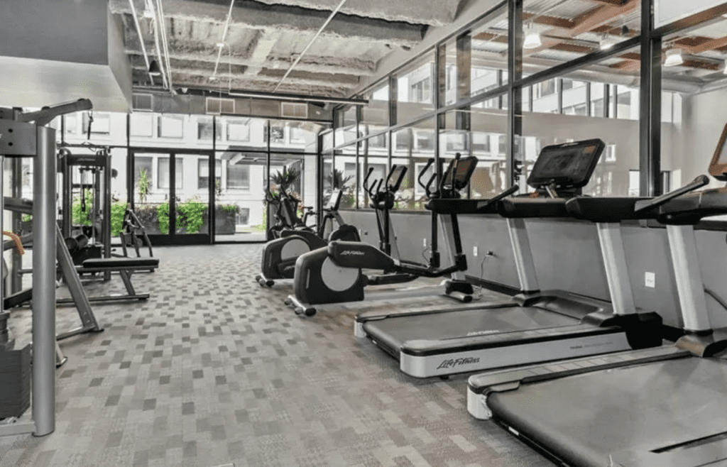 Modern gym with treadmills, stationary bikes, and weight machines. Large windows provide natural light, and mirrors line one wall.