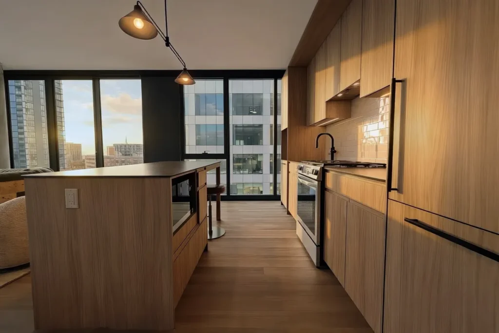 Luxury Chicago Downtown Apartments for Rent. Stead 220 Chicago Apartments. 220 North Ada Street