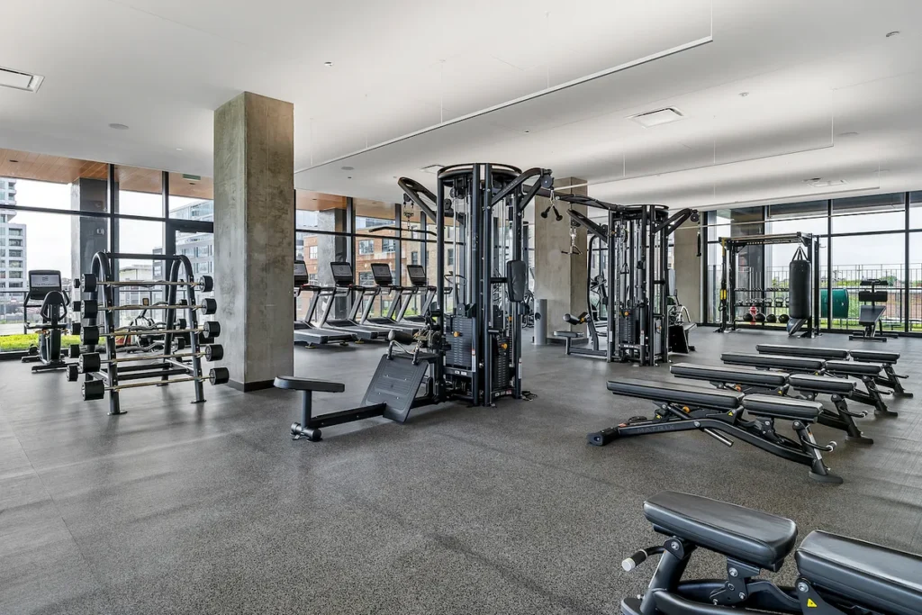 Luxury apartments at The Elizabeth by Sterling Bay. A modern gym featuring multiple strength training machines, rows of treadmills, and free weights, with large windows overlooking a city.